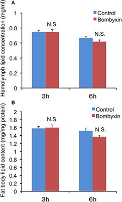 Bombyxin (Bombyx Insulin-Like Peptide) Increases the Respiration Rate Through Facilitation of Carbohydrate Catabolism in Bombyx mori